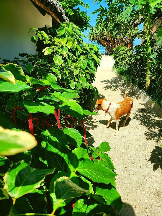 Almas Beach Boutique Hotel Makunduchi Ngoại thất bức ảnh